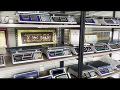 Échelle de plancher WALL-E plateforme en acier inoxydable Échelle de plancher de poids de camion